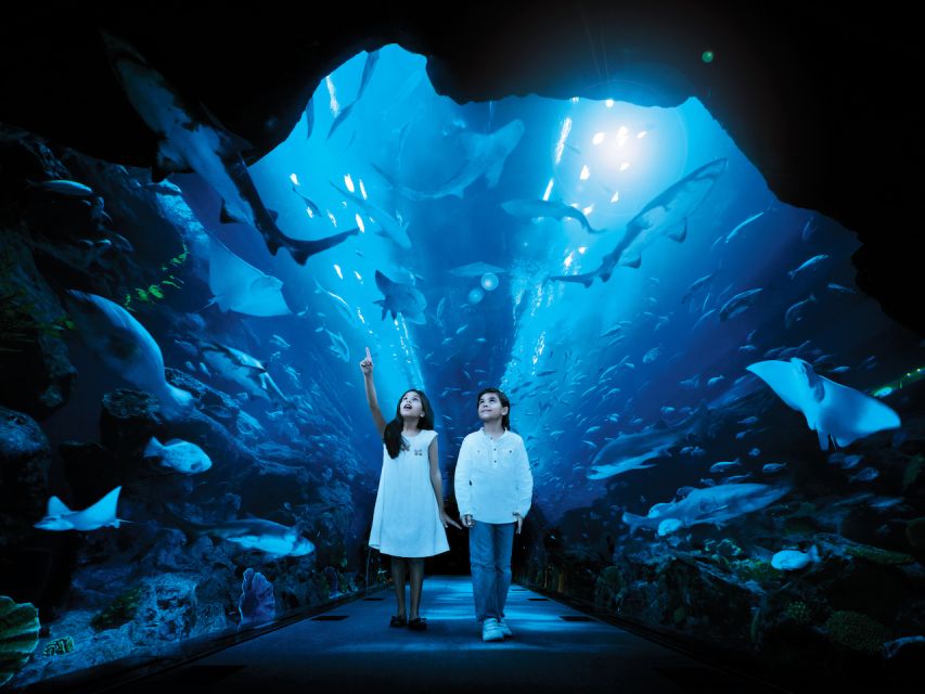 Dubai Aquarium & Underwater Zoo