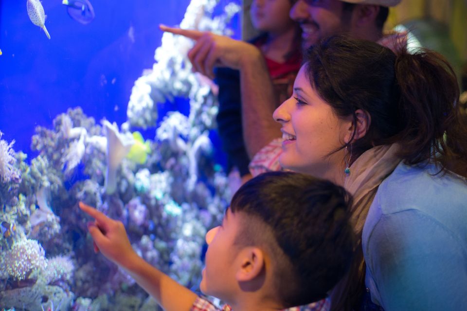 Dubai Aquarium & Underwater Zoo