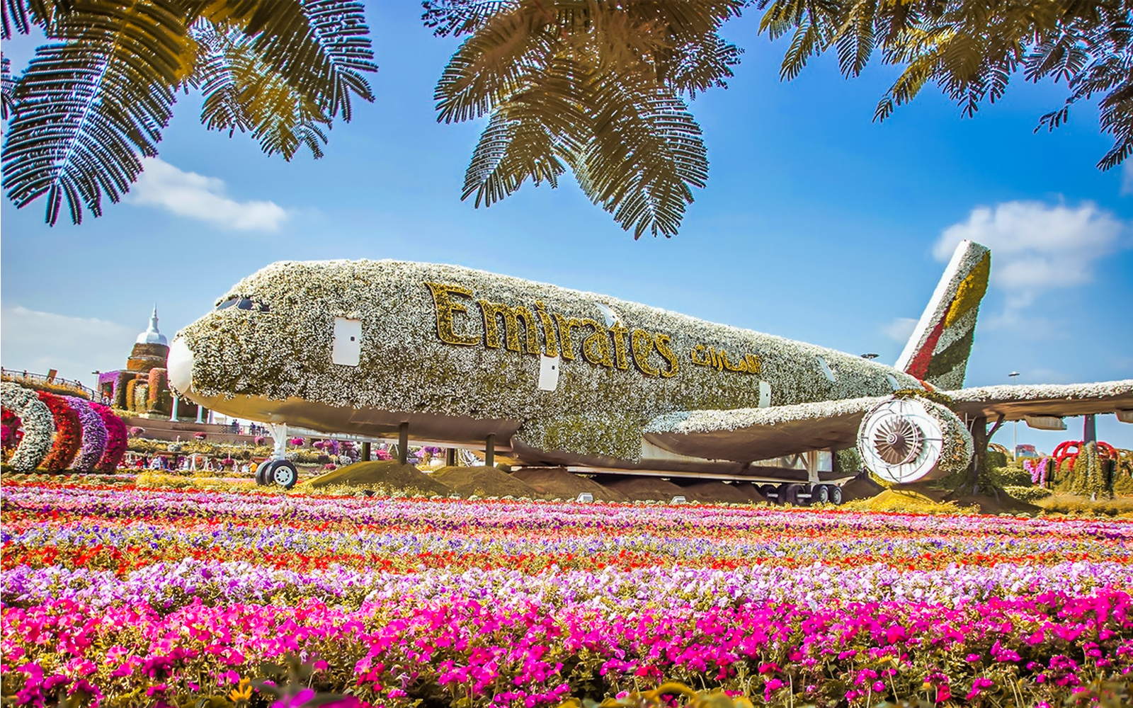 Miracle Garden in Dubai