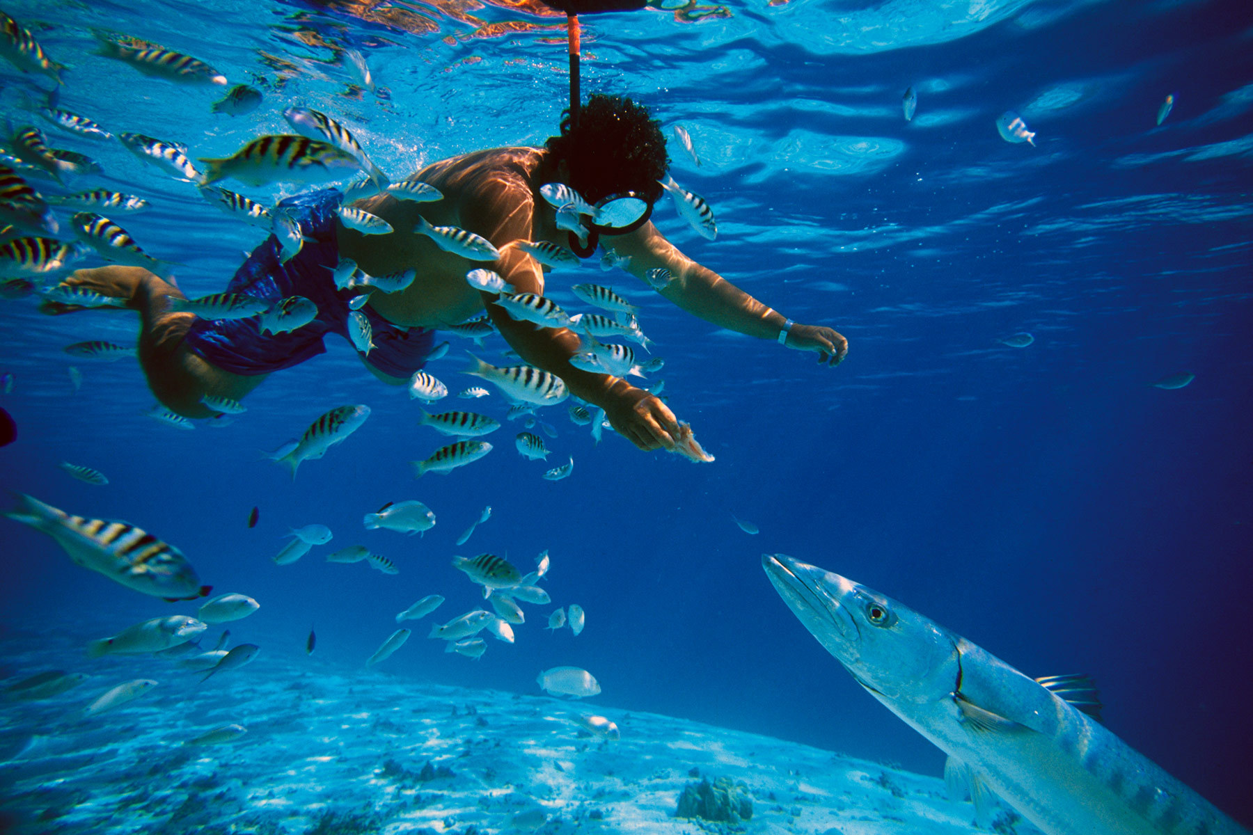 Musandam Dibba Tour