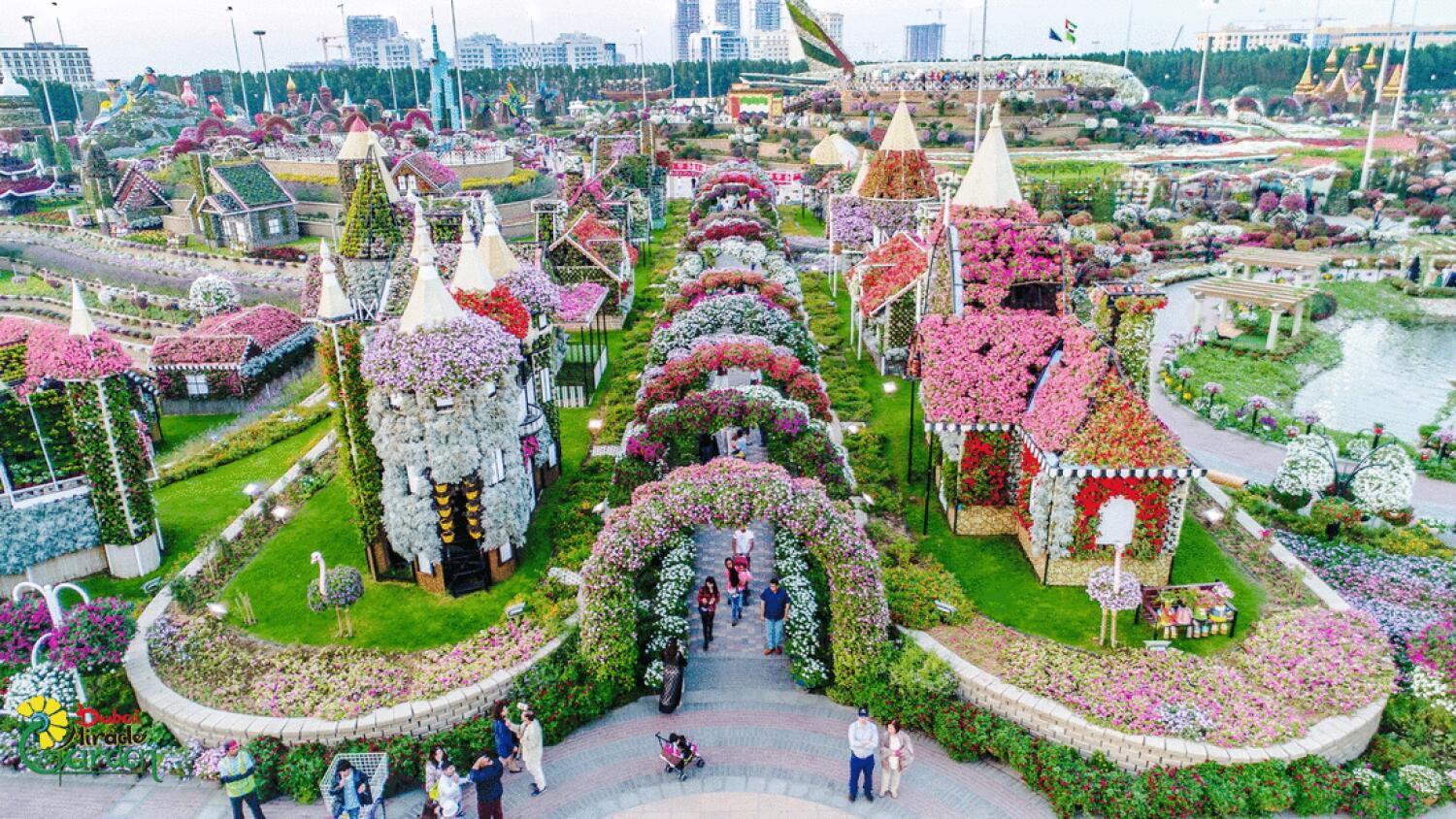 Miracle Garden in Dubai